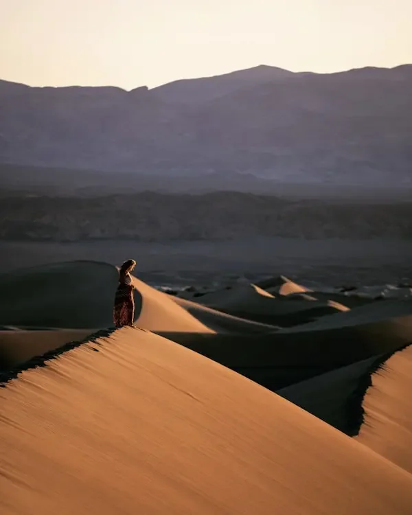 黄沙万里 - 战争、动作、历史影视封面